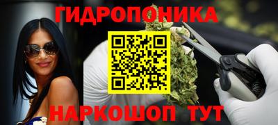 тгк Тула