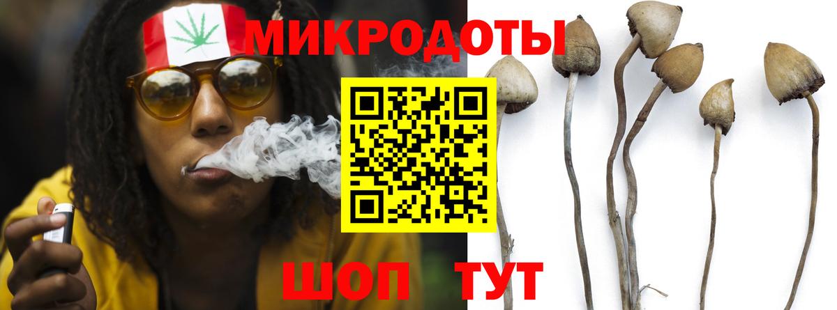 Галлюциногенные грибы мицелий  Галлюциногенные грибы GOLDEN TEACHER  Вход с VPN  Менделеевск 